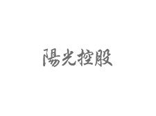 阳光集团